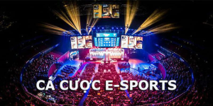Các chiến lược và mẹo hay trong cách cược Esports (Liên Minh, Dota…)