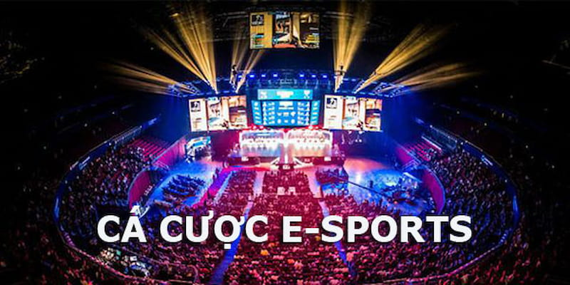 Các chiến lược và mẹo hay trong cách cược Esports (Liên Minh, Dota…)